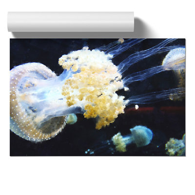 Jellyfish Painting - Frameless Print