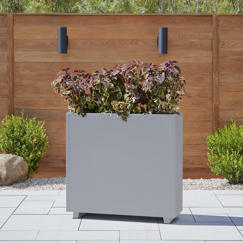 Lannie Metal Planter Box, Gray