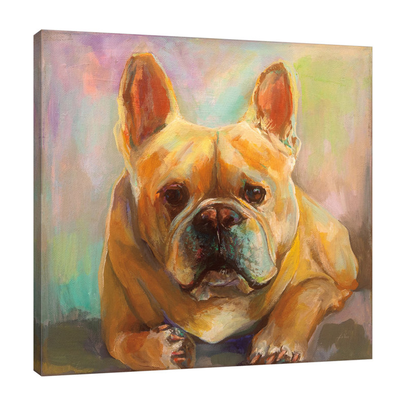 Frenchie par Jeanette Vertentes, H 12 po x l 12 po