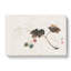Leaves by Shibata Zeshin - Wrapped Canvas-55365740