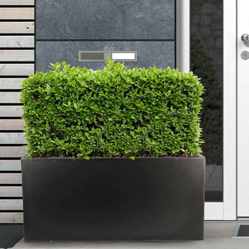 Frostproof, Concrete Effect Garden Planter Pot with Drainage Holes, Black, 37.5cm H x 80cm W x 37cm D