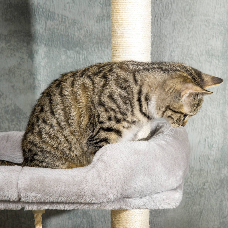 Arbre à chat Celinna