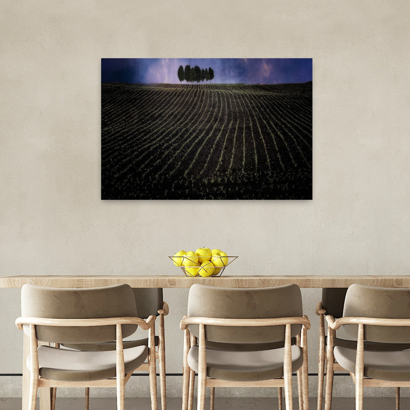 fields in early spring 1 Piece Wrapped Canvas Wall Art, 60.96 cm H x 91.44 cm W
