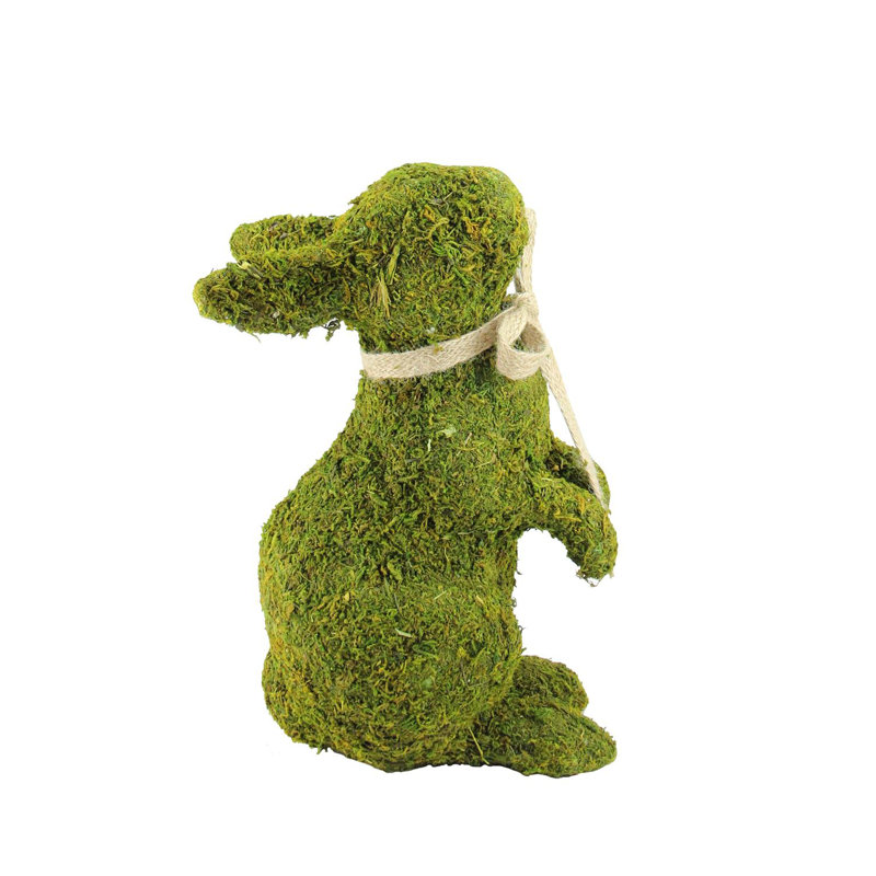 Lapin vert 10,5