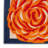 Aloha  Floral Multicolor Indoor/Outdoor Area Rug-155708839