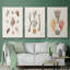 Knorr Shells & Coral IV-91887228-91887229