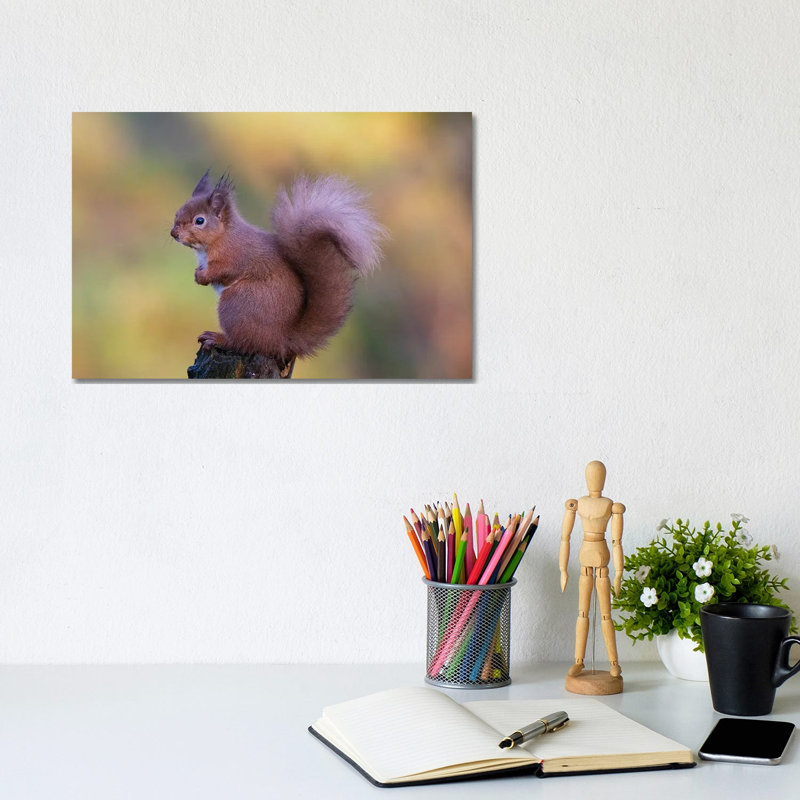 Grumpy 1 Piece Wrapped Canvas Wall Art, 20.32 cm H x 30.48 cm W