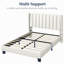 Upholstered Bed Frame with Channel Tufted Headboard-77082584-77082585