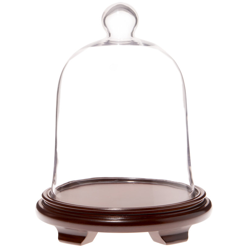 Cloche à dôme en verre 10 po x 13 po, Base en placage de bois de noyer