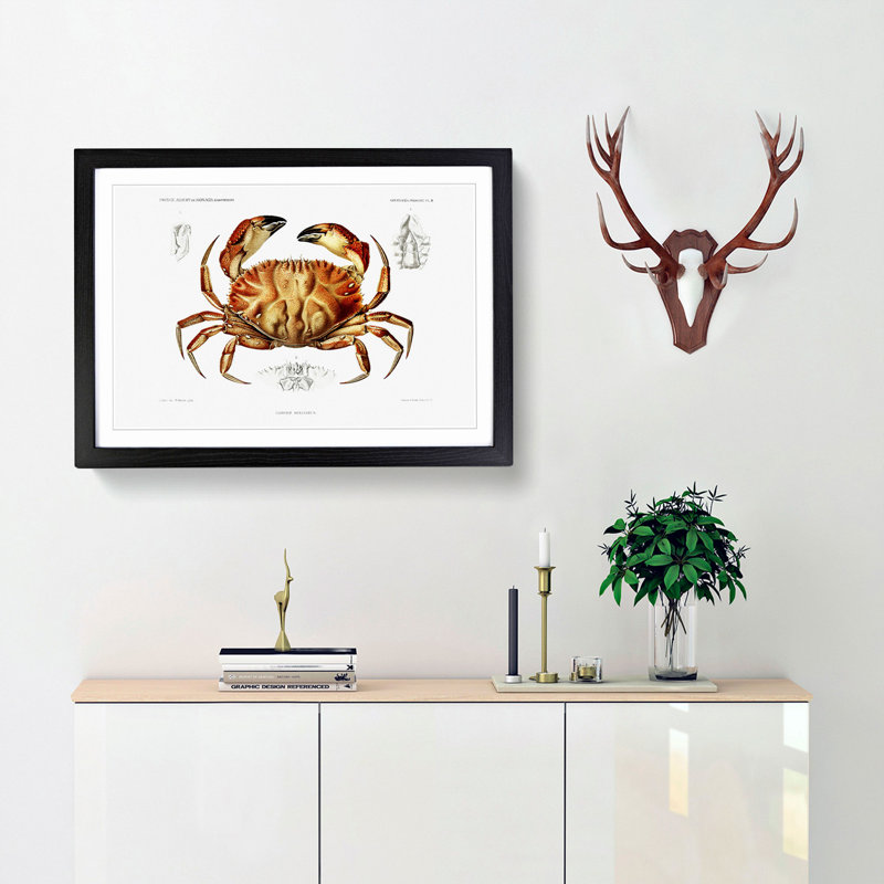 Crab by Albert I - Picture Frame Painting Print, 48cm H x 65cm W x 2cm D, Black Framed
