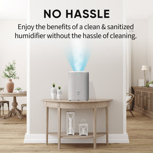 Evo Warm Mist Evaporative Tabletop Humidifier with Adjustable ...
