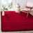 Indoor Rug-23563189