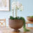 Bridger Handmade Rattan Cachepot-1198405016
