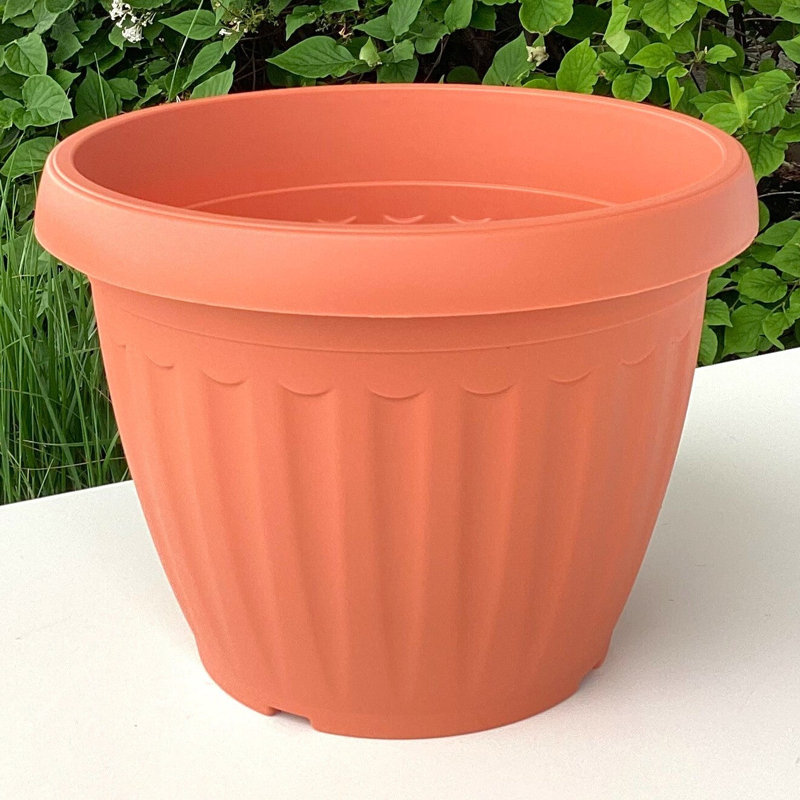 Pot de fleurs en terre cuite Campana, H 7,5 po x l 7,5 po x P 6,1 po, Orange