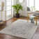 Conlan Oriental Indoor Rug