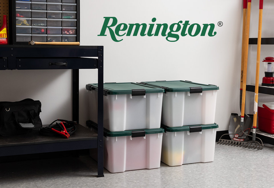 The Remington Collection