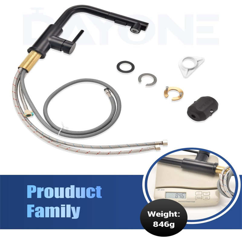 Belfry Kitchen Antani Kitchen Faucet