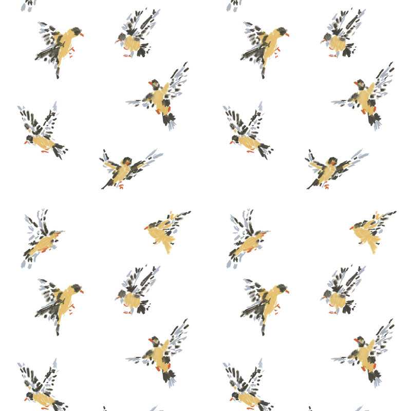 Flight of the Finches - Wallpaper, Sketchpad White, Peel & Stick, Self-Adhesive