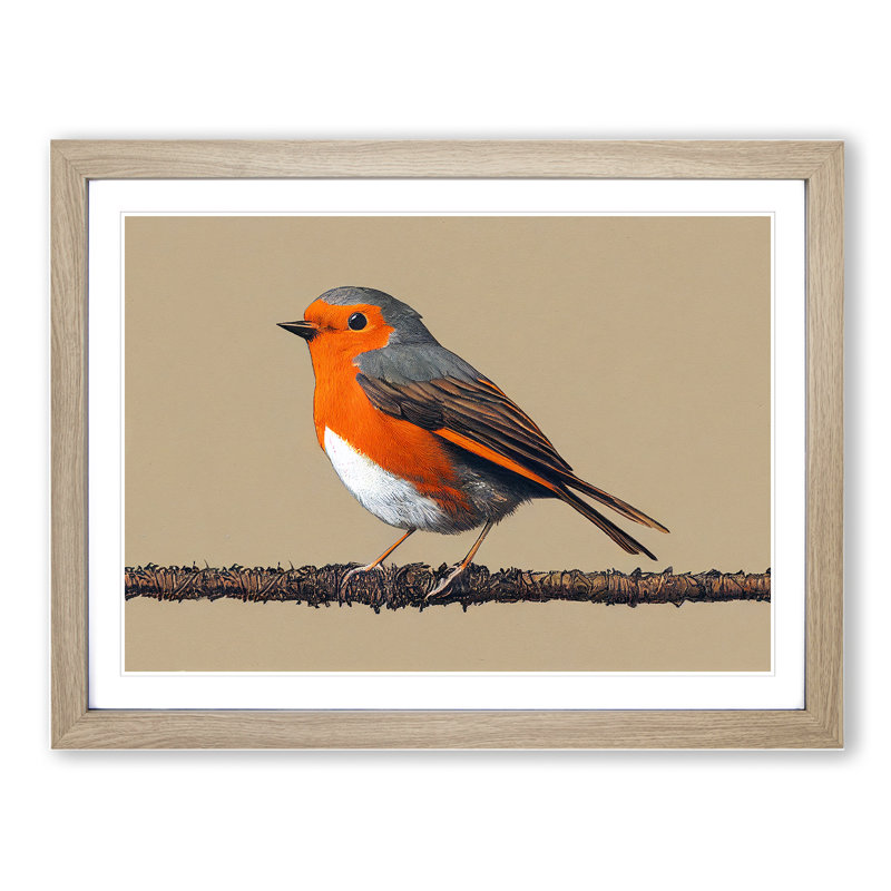 XH1022-9213X Tremendous Robin Bird - Single Picture Frame Painting, Oak, 46cm H x 64cm W x 2cm D