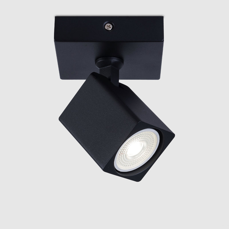 Azyrah Spotlight, Black
