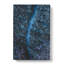 Walking Through The Forest - Wrapped Canvas-56661613