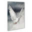 Flying Dove - Wrapped Canvas-55364102