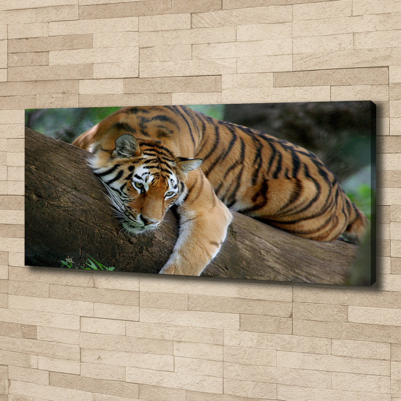 Tiger On The Tree - No Frame Print on Canvas