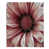 Pink selected