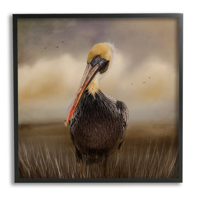 Pélican nuageux, ciel naturel, faune - photographie
