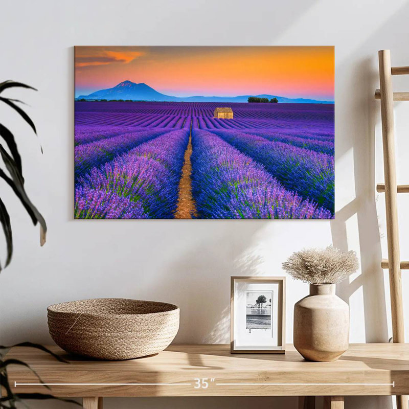 Alvord superbe champ de lavande Valensole, H 32 po x l 48 po