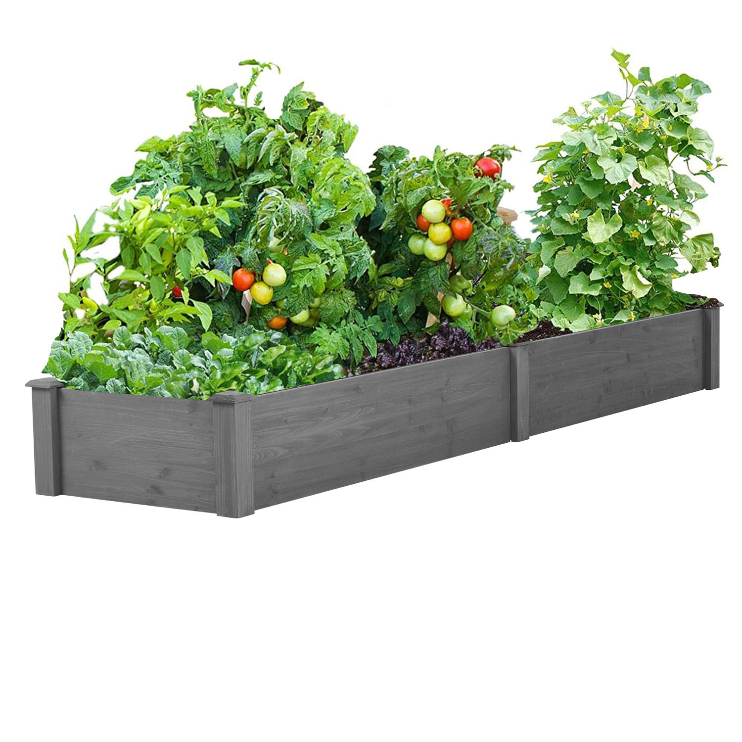 Gracie Oaks Celina Wood Raised Garden Bed | Wayfair