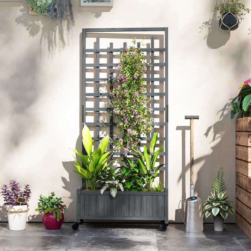 Wood Raised Garden Bed with Trellis