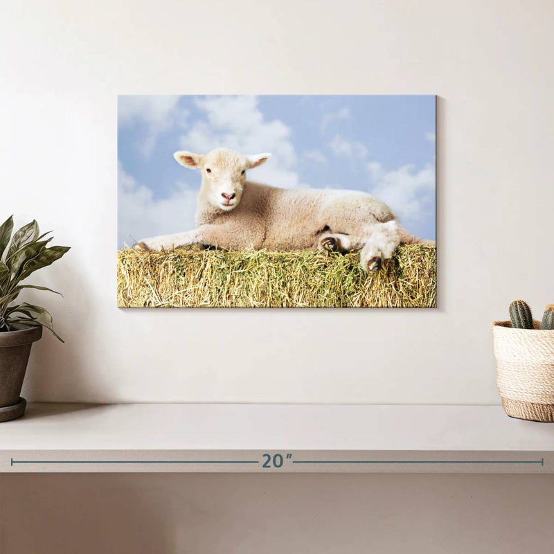 Young Sheep, 8" H x 12" W