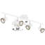 Sheperd 64cm 4 -Light Track Kit