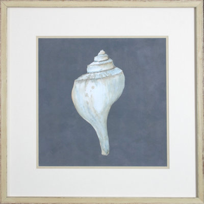 Shell On Slate IV Print by Meagher
