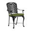 Provance Patio Dining Armchair with Cushion-83260217-83260218-93663954