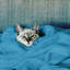 Carsonhill Reversible Mink Faux Fur Plush Fleece Throw/ Blanket-976184918-976184932
