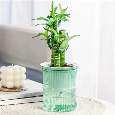 Pot à fleurs hydroponique à arrosage automatique