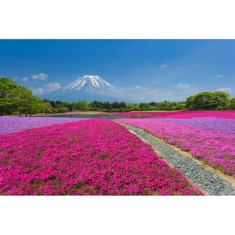 Fuji With Pink Moss by Jiratto - Wrapped Canvas Print, 51cm H x 76cm W x 3.8cm D