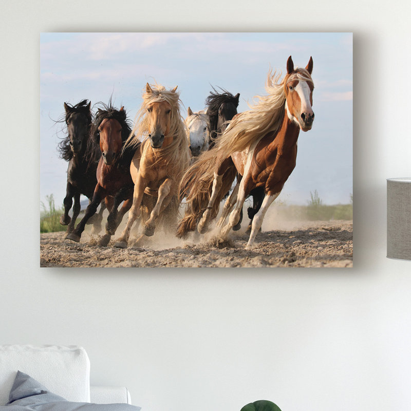 « chance six », reproduction de photo sur toile tendue, H 35 po x l 47 po x P 2 po