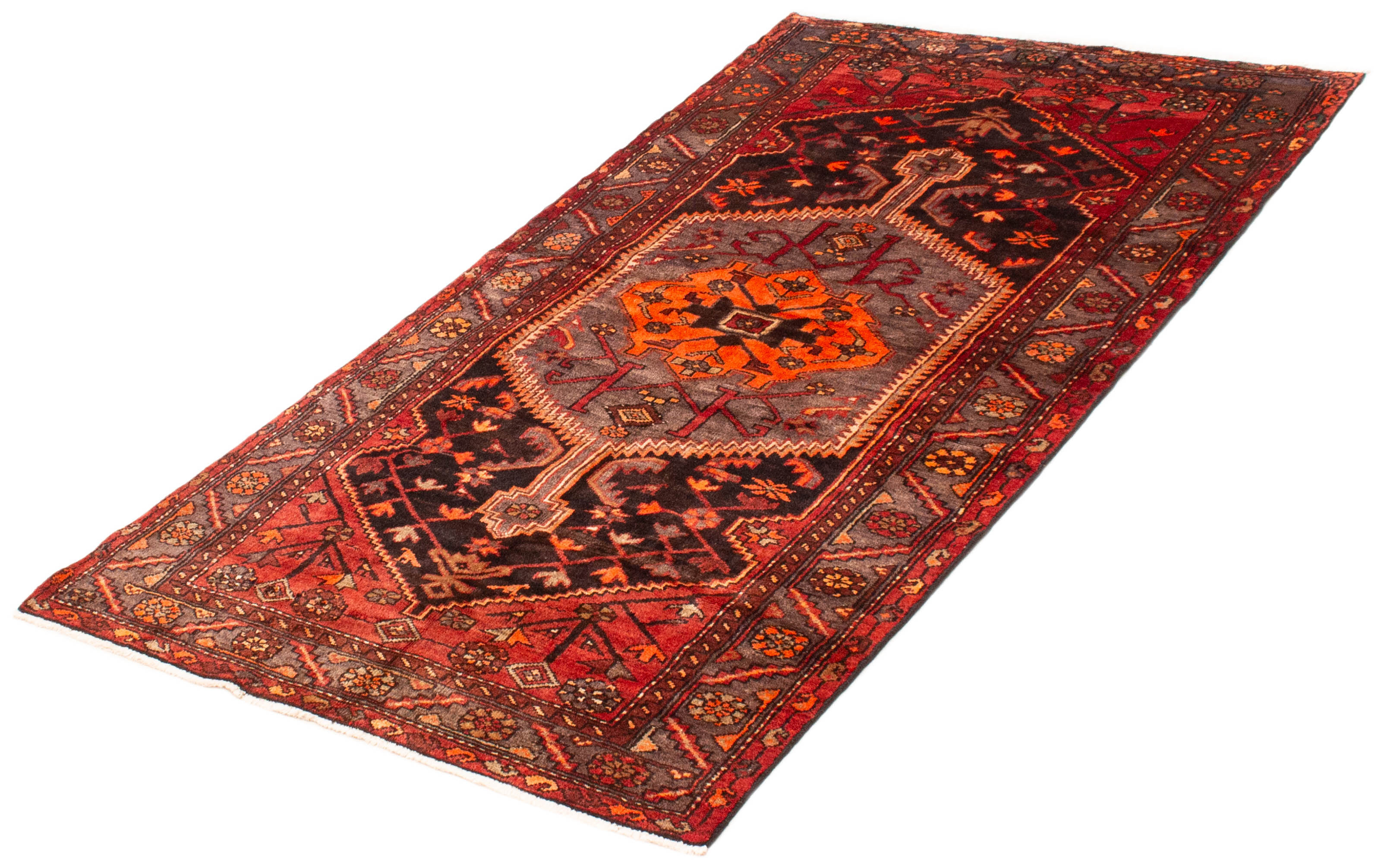 Isabelline Xzavius One-of-a-Kind 4'4