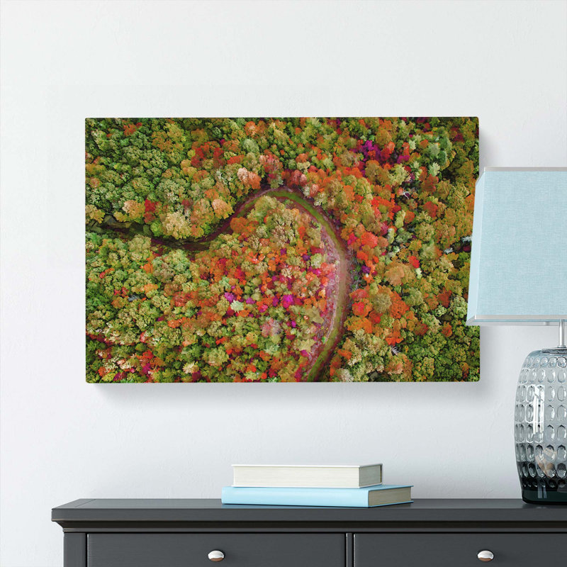 Road Through The Forest - Wrapped Canvas, 50cm H x 76cm W x 3cm D