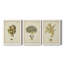 Écru corail X - ensemble de 3 peintures sur toile encadrées-143796225-143796230