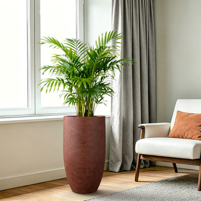 Pot à fleurs de 24 pouces de hauteur, design moderne pour l'intérieur et l'extérieur, gris anthracite foncé