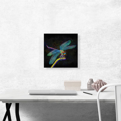 Libellule insecte - impression sur toile tendue