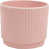 Rose est en rupture de stock