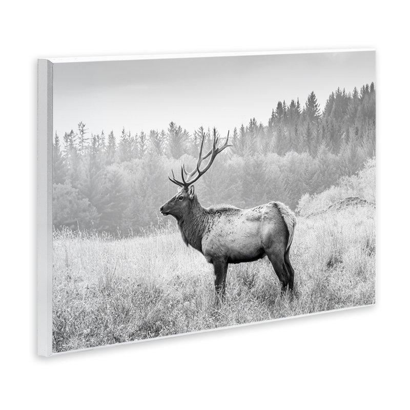«Stoic American Elk», art mural sur bois par Sissi et Seb, H 10 po x l 15 po