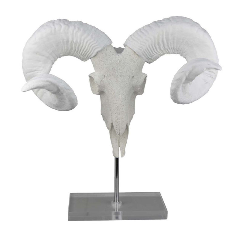 Sculpture de bélier avec cornes incurvées en résine blanche 16 po Mitch Bighead