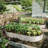 Galvanized Planter Raised Garden Beds-318434228