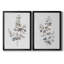 Eucalyptus I, toile encadrée de qualité supérieure - prête à être accrochée-1872306096-1872306062